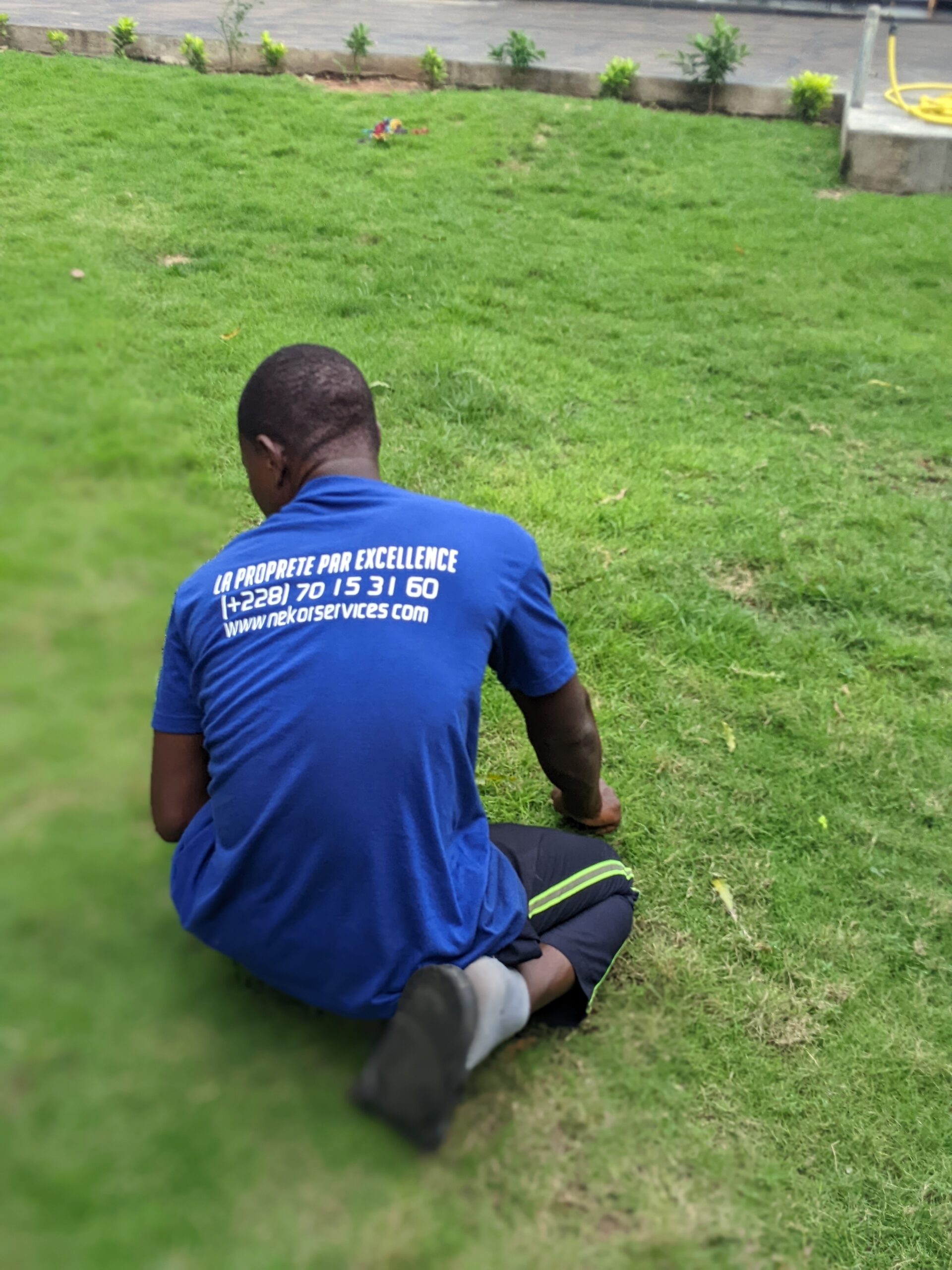 Entretien d’un jardin par Nekor Services